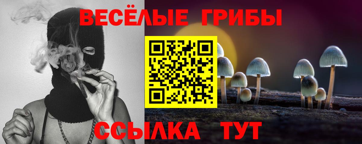 Каспийск  Галлюциногенные грибы Cubensis  Вход с VPN 